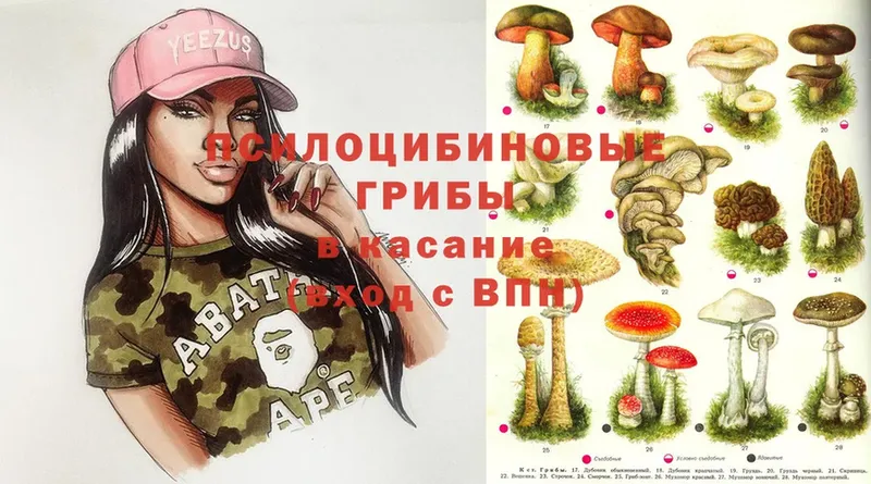 Псилоцибиновые грибы Psilocybine cubensis  Уфа 